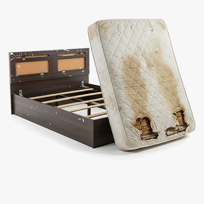 Bed + Mattress